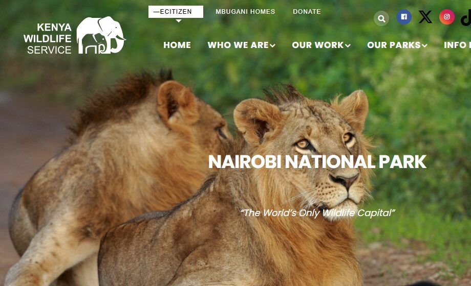 nairobi national park entry fee